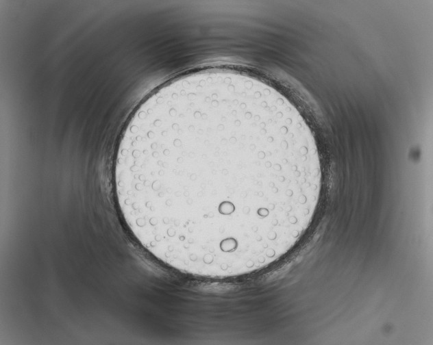 X0000116371321201001131739