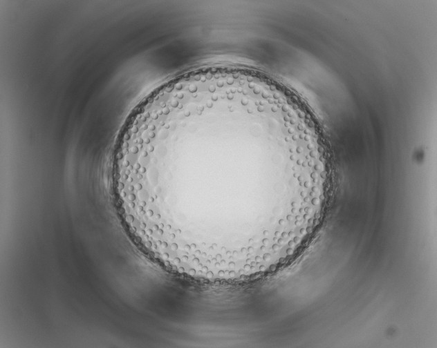 X0000116371322201001131739