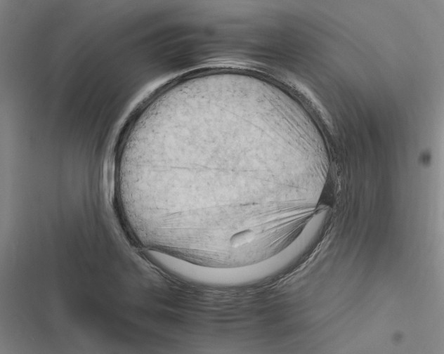 X0000116371323201001131739