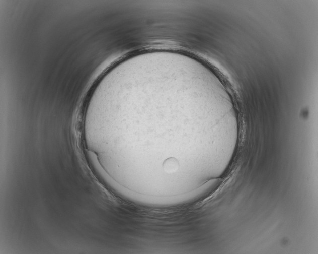 X0000116371325201001131739