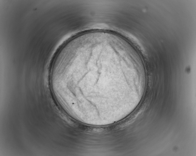 X0000116371326201001131739