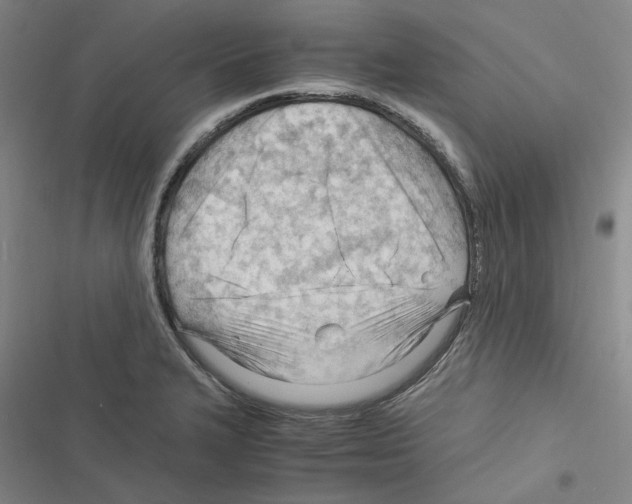 X0000116371327201001131739