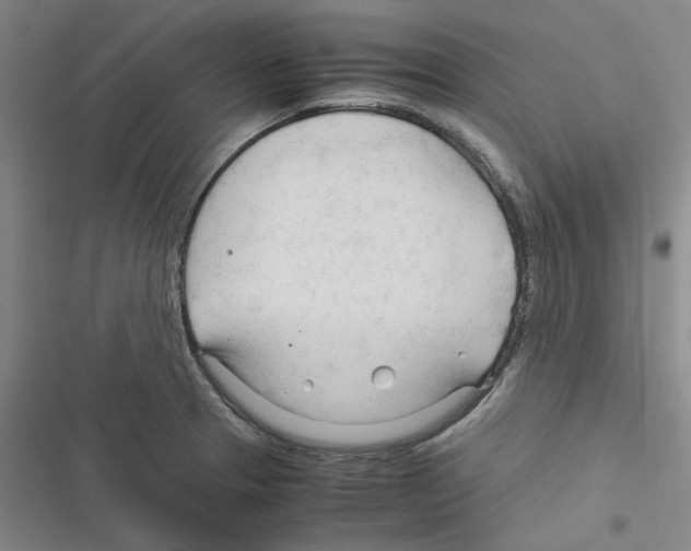 X0000116371329201001131739