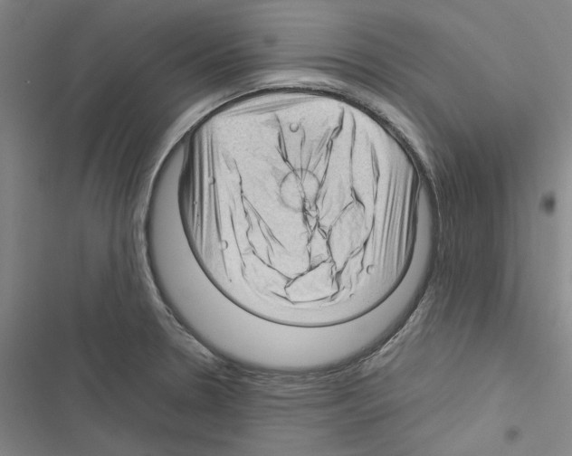 X0000116371330201001131739