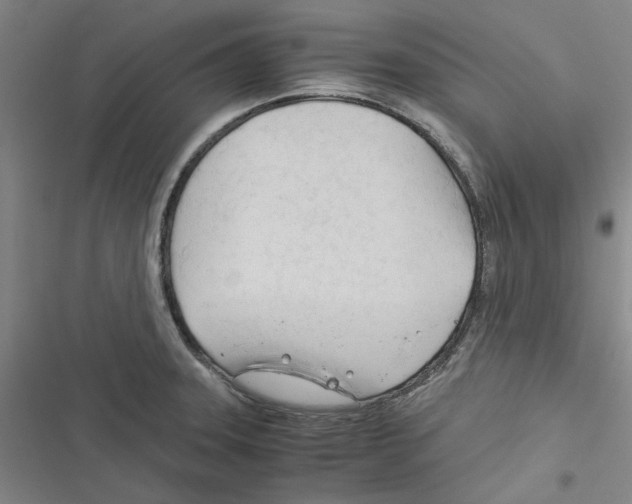 X0000116371331201001131739