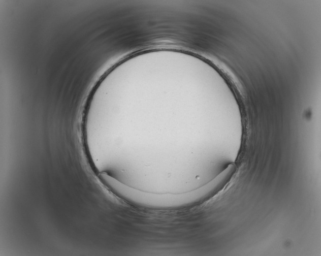 X0000116371333201001131739