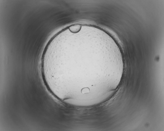 X0000116371335201001131739