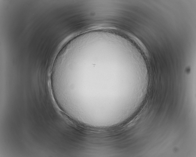 X0000116371338201001131739