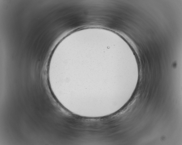 X0000116371341201001131739