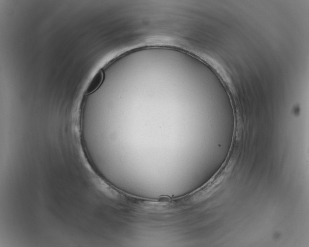 X0000116371342201001131739