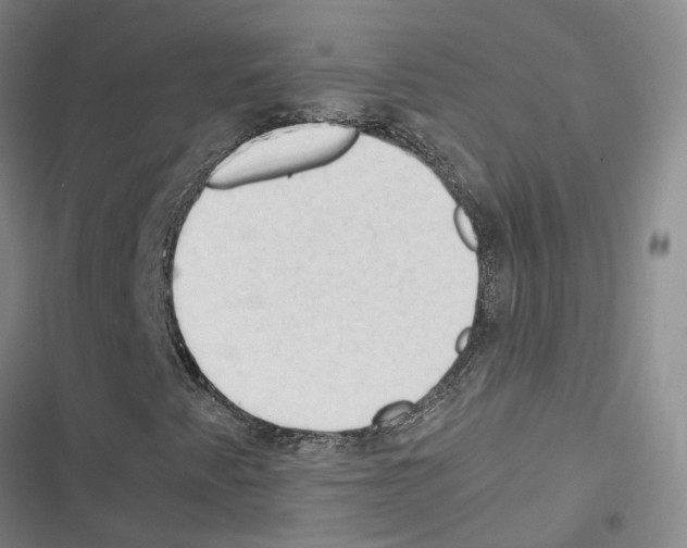 X0000116371345201001131739