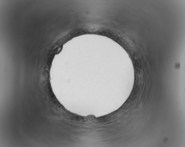 X0000116371349201001131739