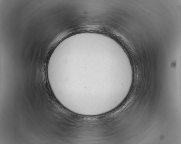 X0000116371354201001131739