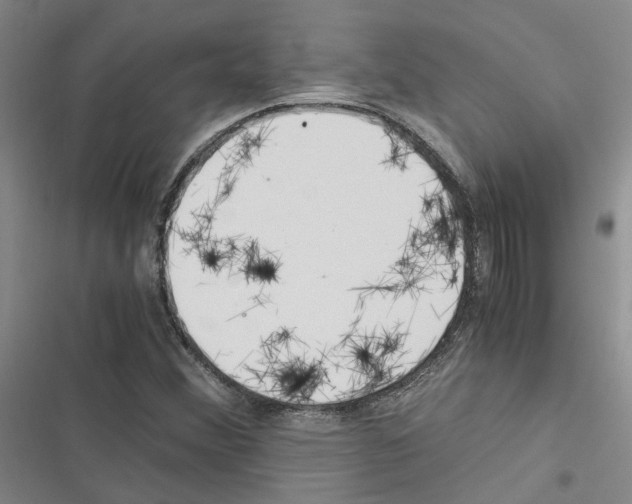 X0000116371356201001131739