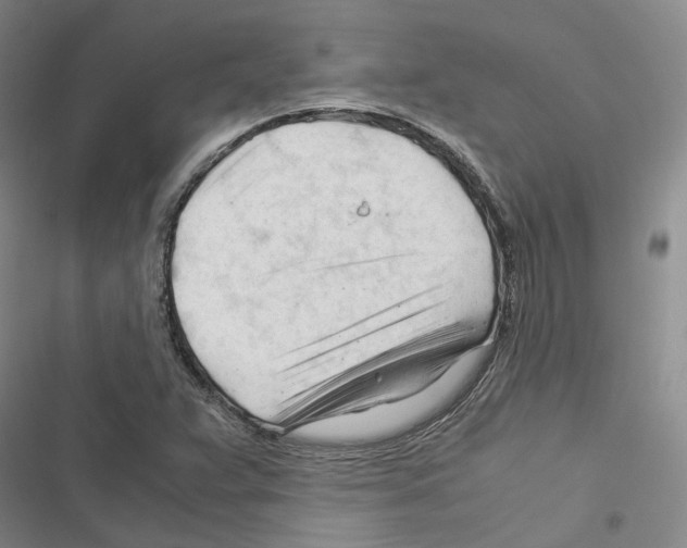 X0000116371359201001131739