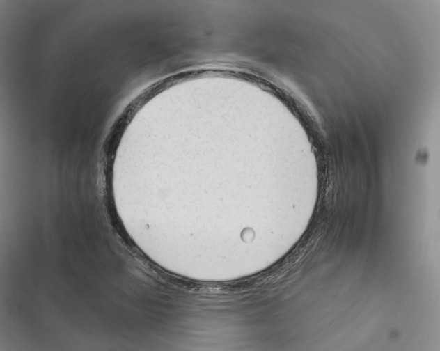 X0000116371360201001131739