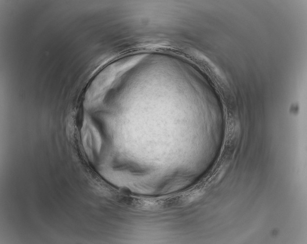 X0000116371361201001131739