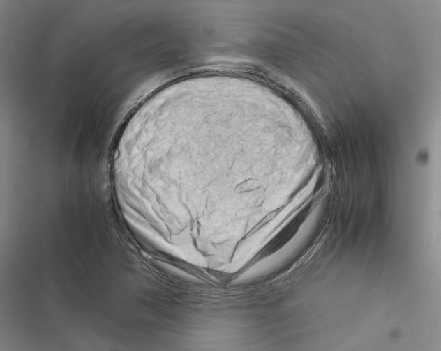 X0000116371362201001131739