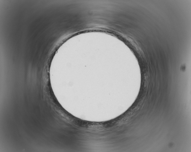 X0000116371363201001131739