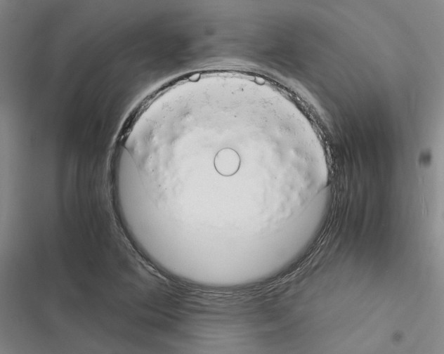 X0000116371364201001131739