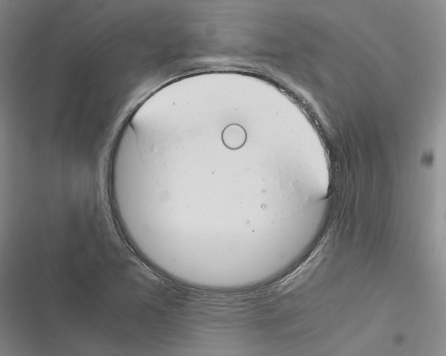 X0000116371365201001131739