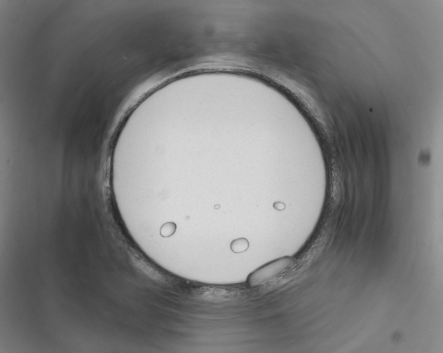 X0000116371366201001131739