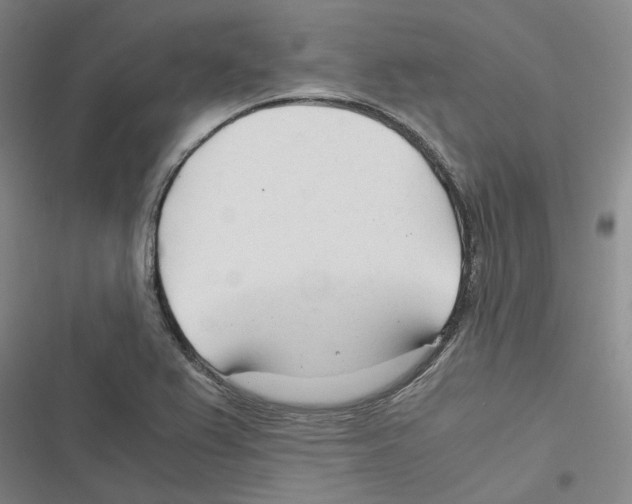 X0000116371367201001131739