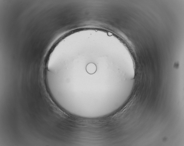 X0000116371368201001131738