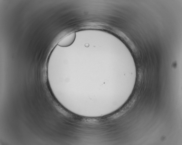 X0000116371370201001131738