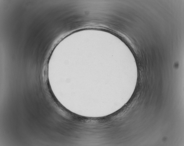 X0000116371371201001131738