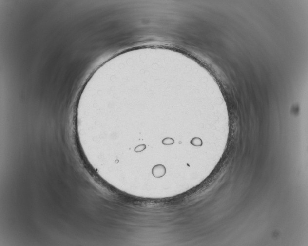 X0000116371375201001131738