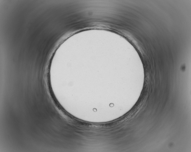 X0000116371379201001131738