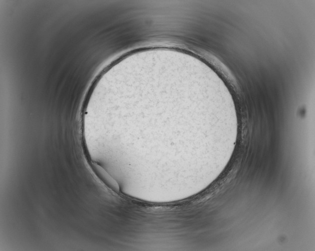 X0000116371380201001131738