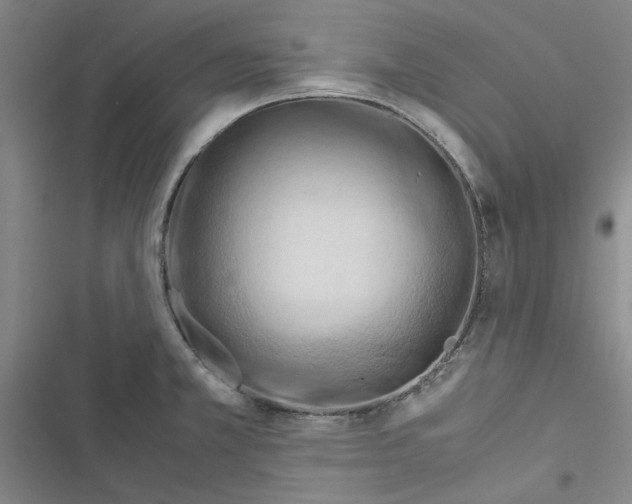 X0000116371381201001131738