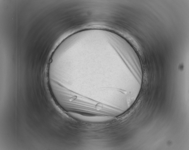 X0000116371382201001131738