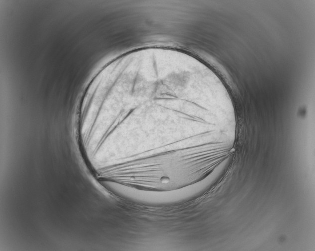 X0000116371383201001131738