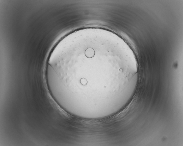 X0000116371384201001131738