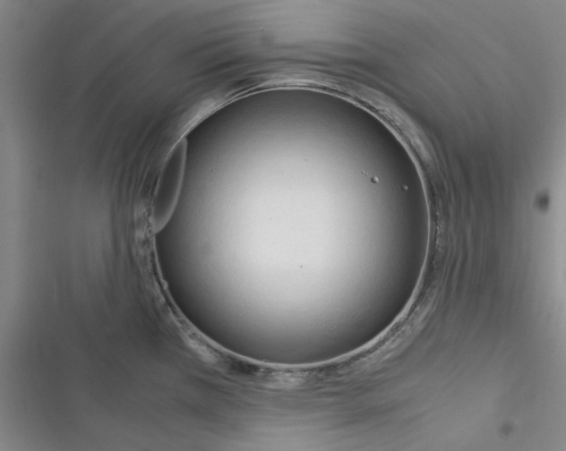 X0000116371385201001131738