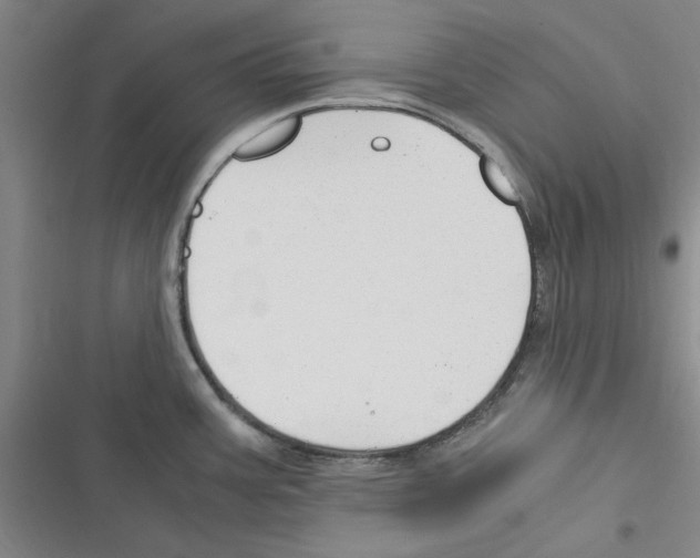 X0000116371387201001131738