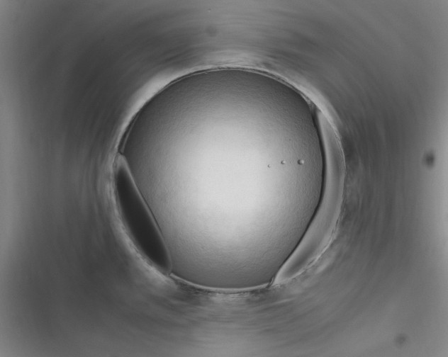 X0000116371389201001131738