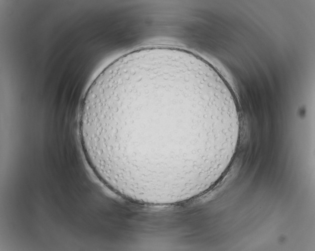 X0000116371390201001131738