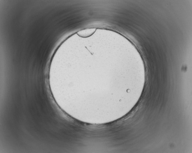 X0000116371392201001131738