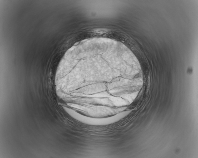 X0000116371394201001131738