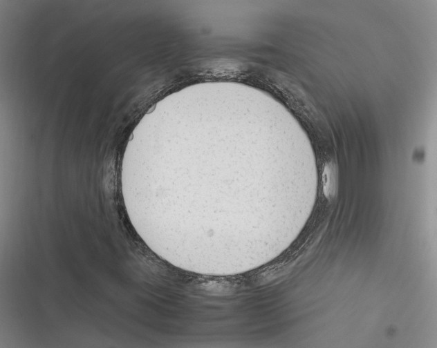 X0000116371395201001131738