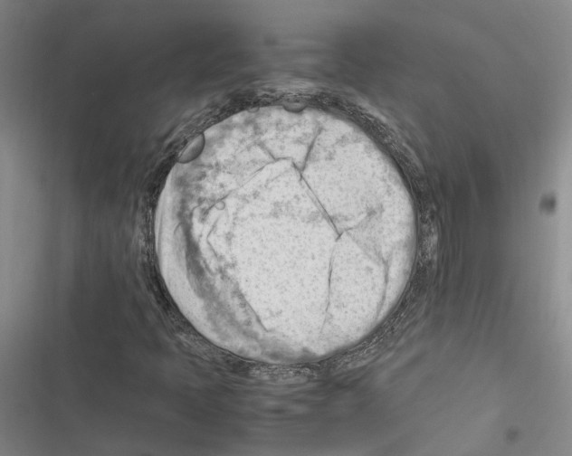 X0000116371397201001131738