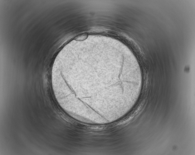 X0000116371401201001131738