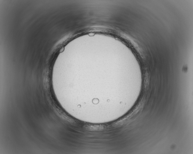 X0000116371403201001131738