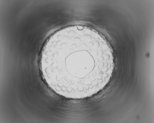 X0000116371404201001131738