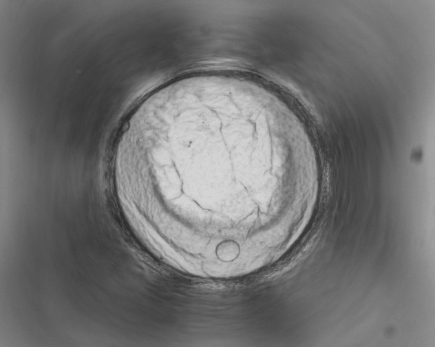 X0000116371405201001131738