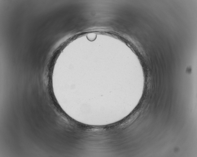 X0000116371406201001131738